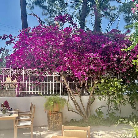 Carikci Hotel Marmaris Exterior foto